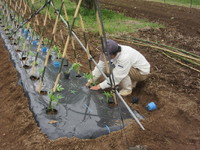 ������Τ˻��֤��ݤ���ޤ��� 