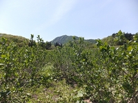 �����˥�Ȫ���ͻҡ� 