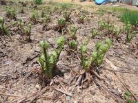 ΢���������뻳�ڡ������ߤǤ��� 