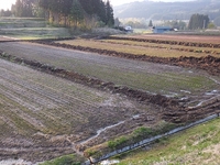 �̿��Ǥ�ʿ��˸����ޤ��������������ʺ��⤢��ޤ��� 