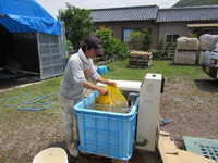 ͭ���ϲ����ȼ꤬�����롣 