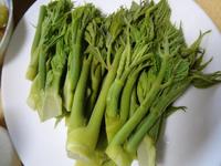 ŷ������βꡢ��꤬�㤤�ޤ��� 