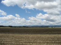 �ĵ������Ϥޤ�ޤ����� 