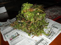 ����ޥ��򤿤����󤤤��������� 