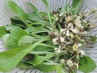 ��å���β֡����ä������������Ǥ��� 