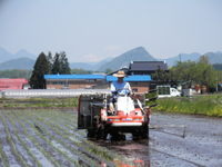 ���̺��ݤҤȤ�ܤ���Ŀ��� 