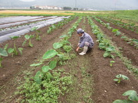 ����Ǧ�ѡ�����Ǧ�ѡ����ˡ������� 