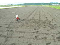 ����μ�ޤ� 