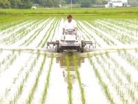 10a󣱣ʬ̤ǽλ뤽Ǥ 