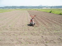 ����Ȫ��̺�� 