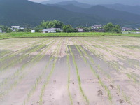 ���ڿ��� 