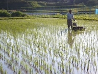 ����ʴ������Ĥ�ܤ�����⤤�ƽ��𤷤ޤ��� 