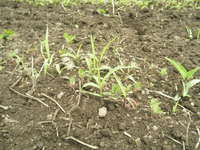 �������ޤ��������������ߤ����� 