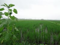 ���������������Ǥ��� 