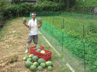 ���̥�������������̣���� 