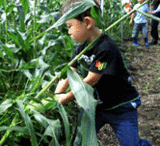 ���٥�ȥȥ�������������θ� 