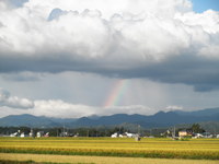 ���ä��ˤϱ����ߤäƤ��� 