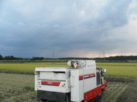 ��äȱ��������ä��� 