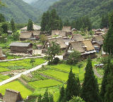 �޲ջ������ҽ��� 