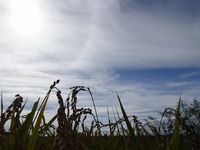 �𴢤����¤Ǥ��� 