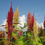 ���ޥ�󥵥����� 