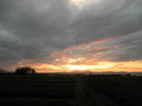 ��������뤫�� 