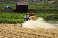 ͭ������������ 