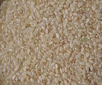 ���ƤǤ��� 