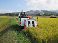 �Х����ǤϤʤ�����Х�������äƤ��ޤ��� 