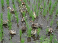 �������⤿��������ФäƤ���ޤ����� 