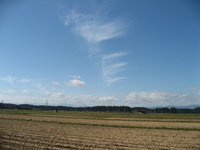 ������Ǥ��� 