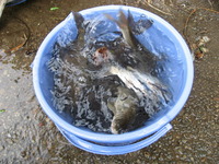 ������餤�ޤ����� 