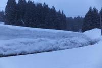 ��������������� 