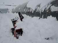 ���㵡�����桪 