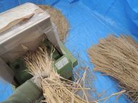 ����æ���ȡ�­Ƨ��æ�򵡤Ǥ��� 