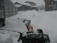 ������ޤ�����Ǥ��� 