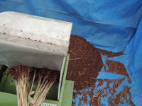 ���λŻ��ϻ����æ���ȤǤ��� 