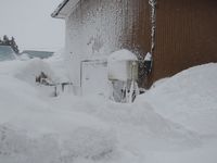 �ޤ��������� 