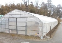 �ϥ����ӥˡ���ĥ�� 