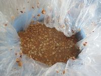 �������������� 