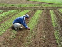 秾��ˤʤ�ʤ��褦�ˡ� 