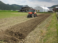 ���庸����ߤƿʤߤޤ��� 