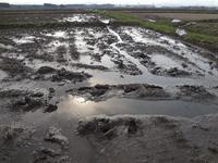 �¤򷡤ä��Ĥ�ܤο��ȴ���� 