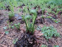 ΢����������դ�̣�С������ߤǤ��� 