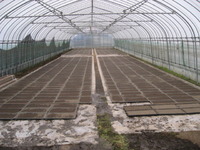 ����Ť��ư��ĥϥ����� 