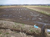 �ޤ��夬ͯ���Ƥ��ޤ��� 