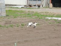 ǭ�μ��ڤꤿ�������� 