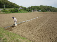 ���ȥ����ȤǰϤäƿ������ޤ��� 