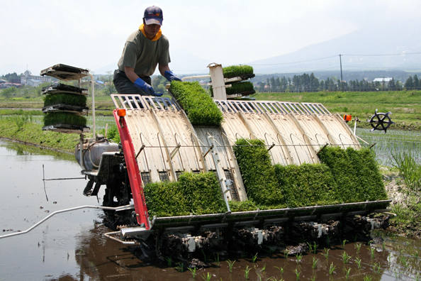 �Ŀ������ϡ��Ĥ�­���Ƥ��ޤ��� 