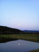 ���̤˱Ǥ������� 